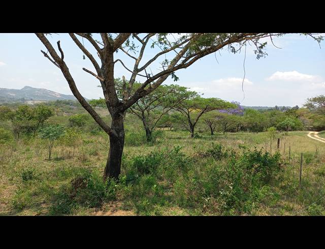 1HA SMALLHOLDING FOR SALE IN NELSPRUIT RURAL